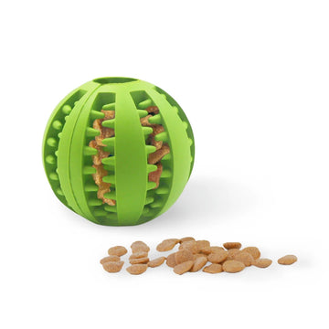 Doggy Teeth Cleaning Snack Carrier Toy Ball